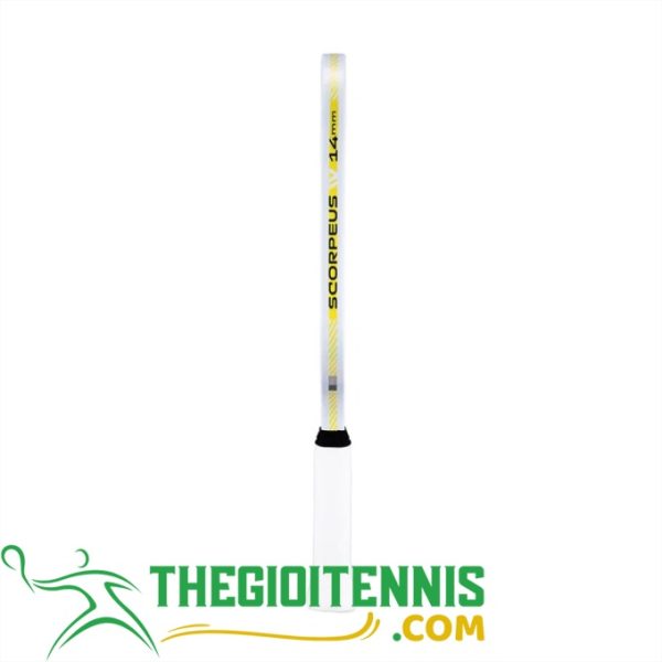 Đối tượng phù hợp sử dụng vợt Pickleball Joola Anna Bright Scorpeus Pro IV
