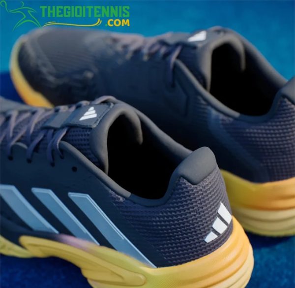 Hướng Dẫn Bảo Quản Để Kéo Dài Tuổi Thọ Giày Pickleball Adidas Barricade 2024