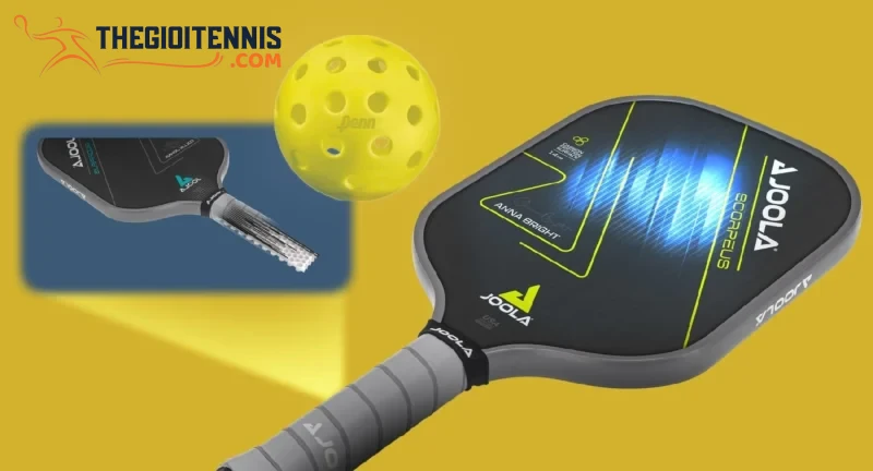 Mặt Vợt Pickleball Nào Tốt Nhất? Bí Quyết Chọn "Vũ Khí" Hoàn Hảo